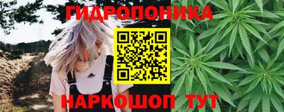 стаф Ангарск