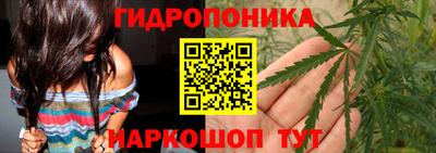 сатива Анжеро-Судженск