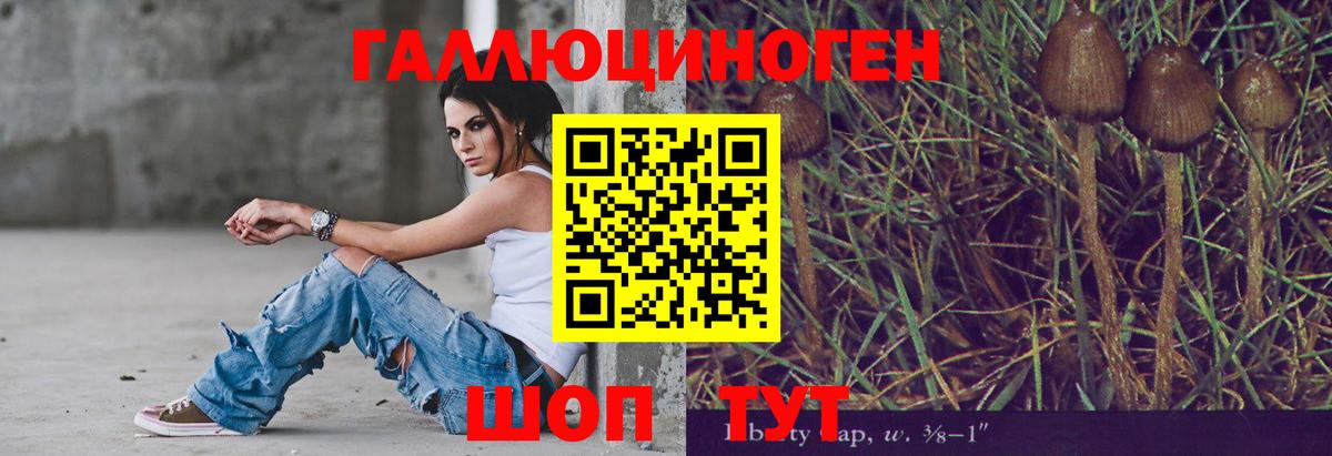 Псилоцибиновые грибы Cubensis  Псилоцибиновые грибы GOLDEN TEACHER  Ступино 